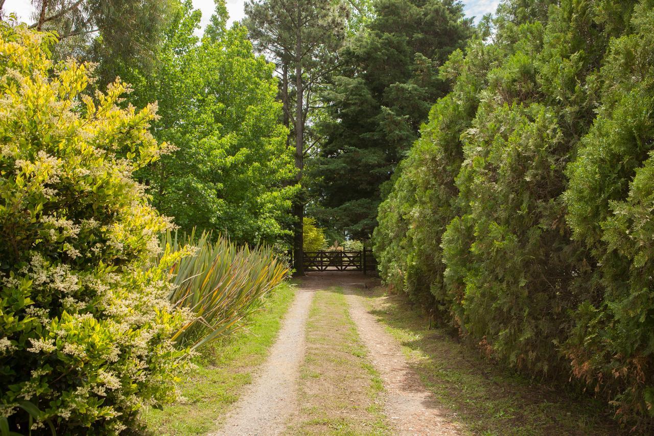 La Chacra - Hotel De Campo & Spa San Pedro  Exteriör bild